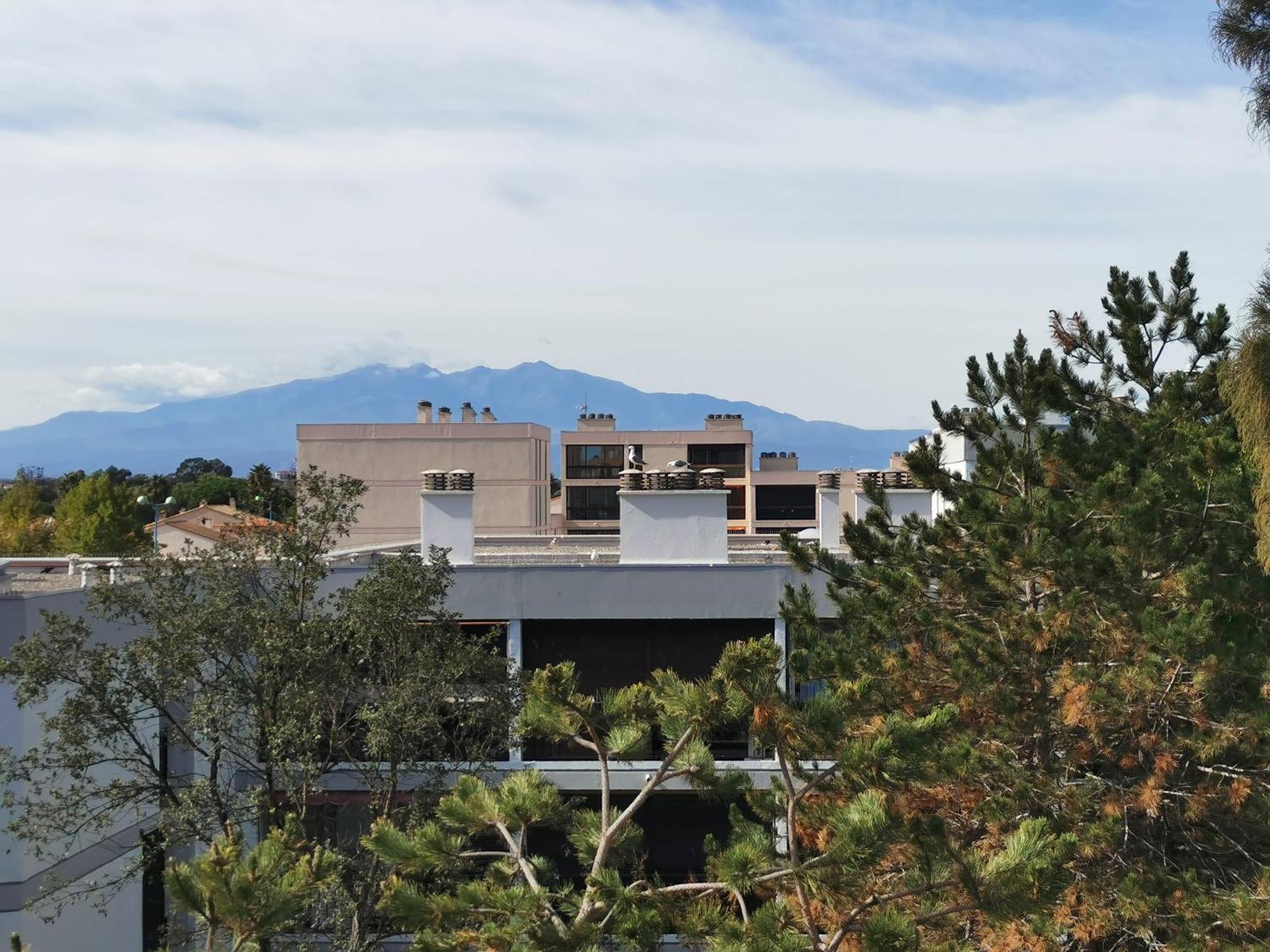 Appartement Refait A Neuf, Climatise Avec Vue Mer Et Montagne, Avec Place De Parking Privative Saint-Cyprien (Pyrenees-Orientales) Exterior foto